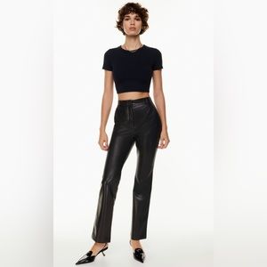 Aritzia Publish pants